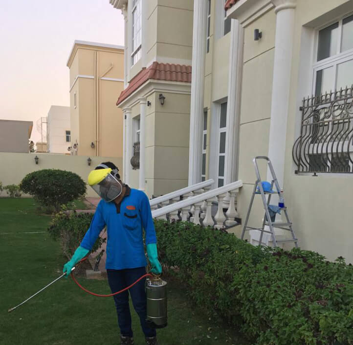 Guaranteed Pest Services and Pest Control Service in Dubai, Dubai Municipality Approved Pest Control Service in UAE, Zain Pest Control & Cleaning